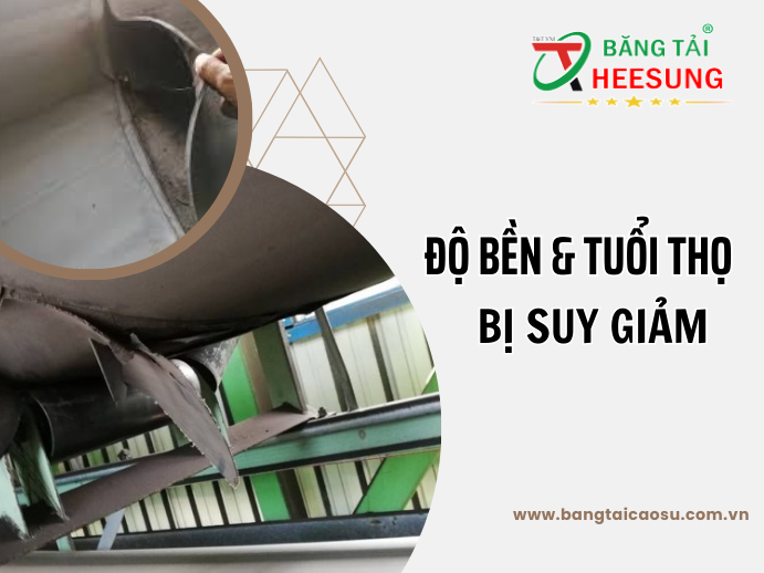 do-ben-va-tuoi-tho-cua-bang-tai-cu-bi-suy-giam