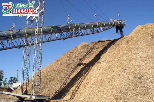 bang-tai-cao-su-tai-quang-ninh