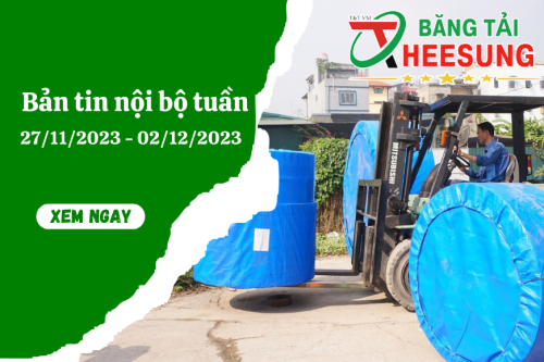 hoạt động nội bộ tuần 5 tháng 11