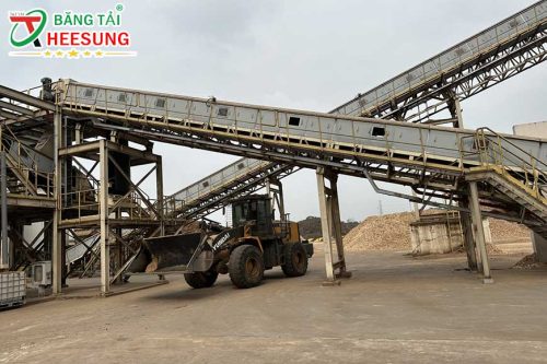 băng tải Hải Phòng