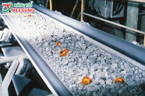 các loại băng tải chịu nhiệt