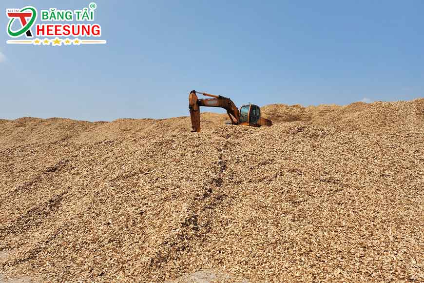 phát triển ngành dăm gỗ