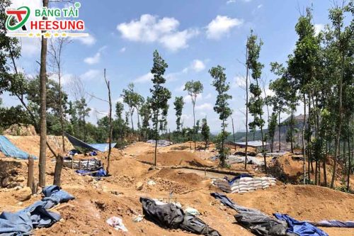 quặng và mỏ vàng