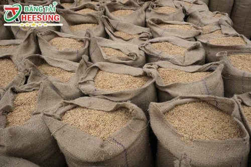 giá gạo xuất khẩu