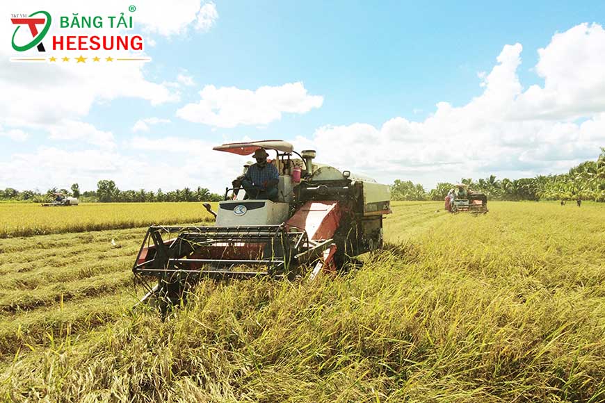 ngành xuất khẩu lúa gạo