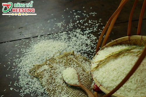 gạo ST25 Băng tải Heesung