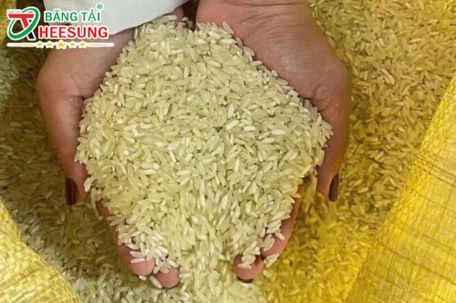 gạo Séng cù xanh