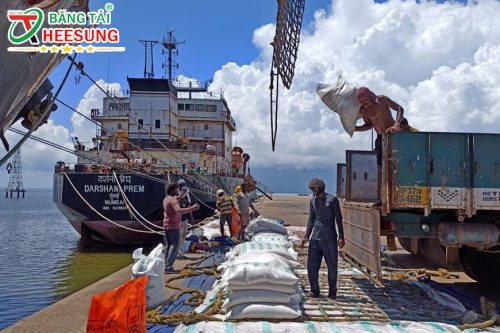 lệnh cấm xuất khẩu gạo