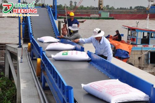 doanh nghiệp xuất khẩu gạo