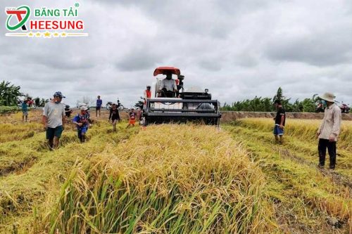 ngành nông nghiệp