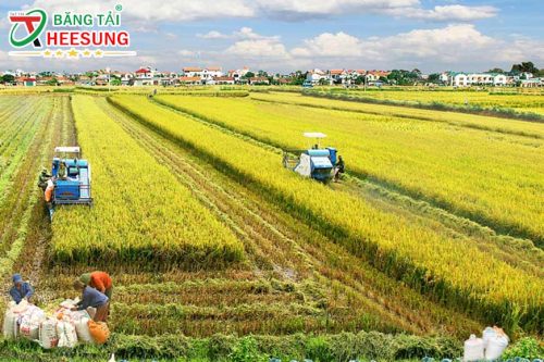 giảm phát thải khí nhà kính