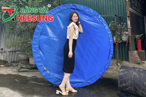 công ty chuyên sản xuất băng tải con lăn