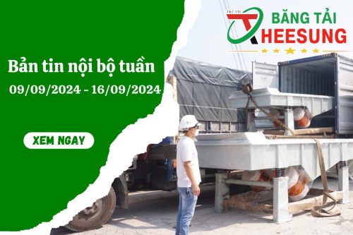 giao máy sàng rung hình chữ nhật