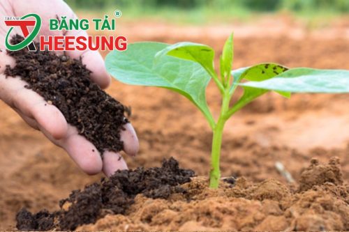 hỗ trợ phân bón cho nông dân