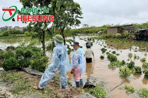 ngành lâm nghiệp