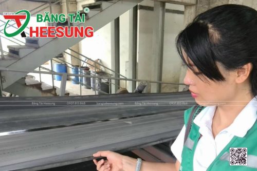 cách chọn băng tải cao su phù hợp