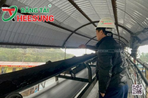 khi nào nên thay băng tải