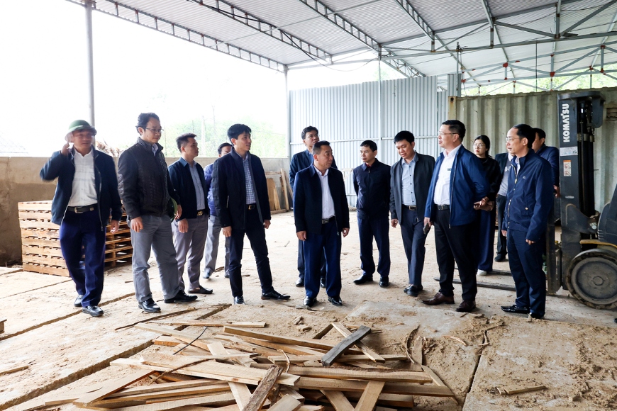 kiểm tra nhà máy dăm gỗ