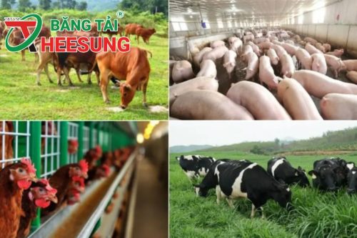 thị trường thức ăn chăn nuôi