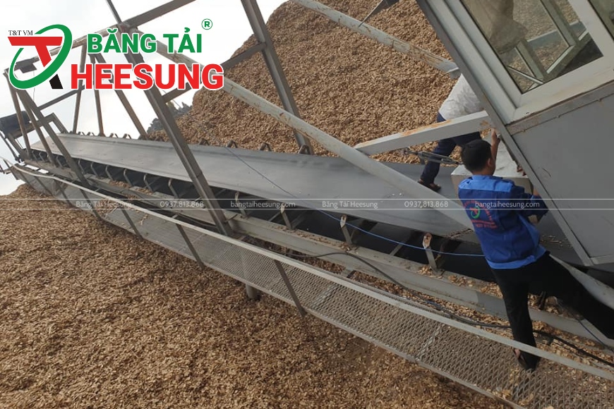 băng tải ngành xuất khẩu dăm gỗ