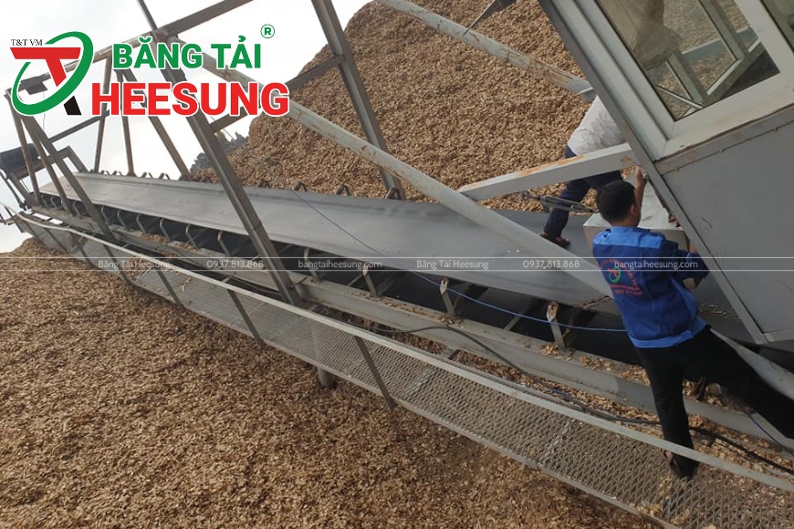 băng tải ngành xuất khẩu dăm gỗ