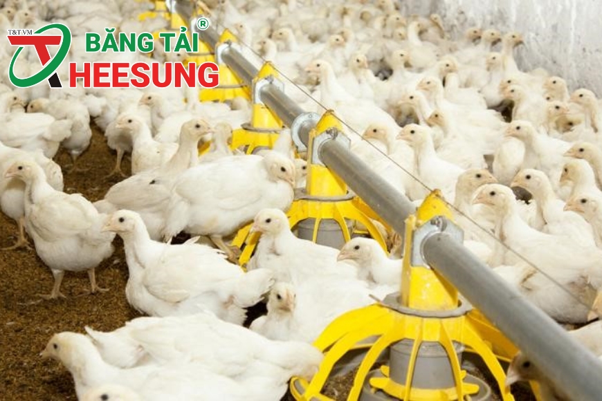 chăn nuôi bền vững