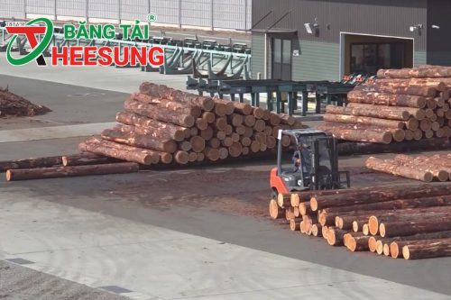 sản xuất gỗ dán