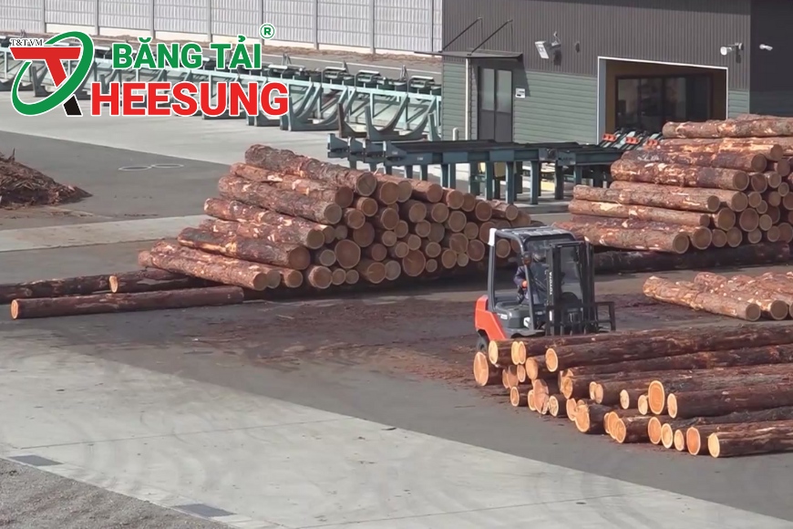 sản xuất gỗ dán