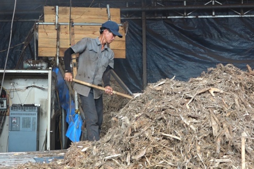 sản xuất viên nén từ vỏ cây tràm