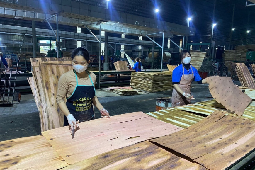 đẩy mạnh sản xuất gỗ