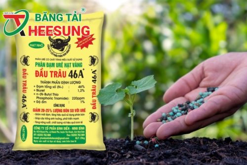 giá phân bón toàn cầu