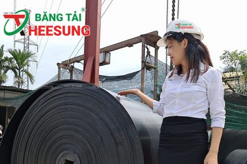 mua băng tải Heesung ở đâu