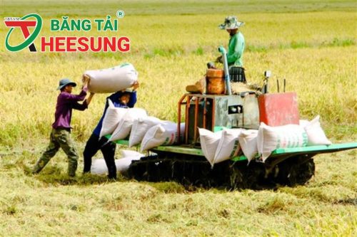 thiết bị phục vụ ngành sản xuất lúa