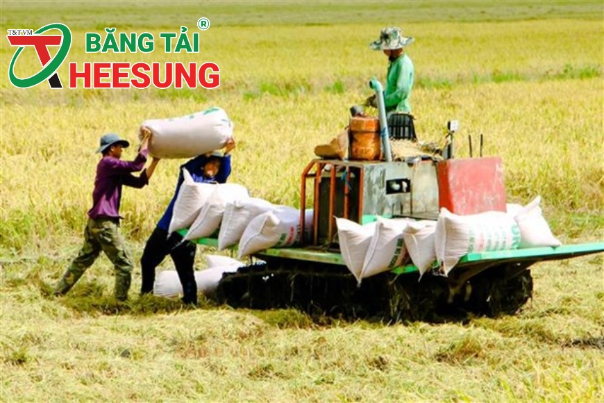 thiết bị phục vụ ngành sản xuất lúa
