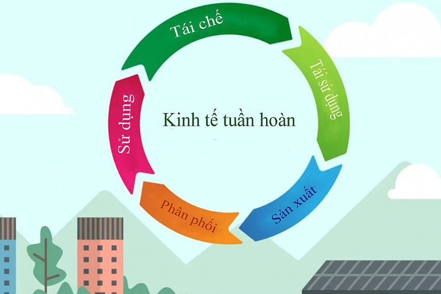 tiềm năng của kinh tế tuần hoàn ngành giấy