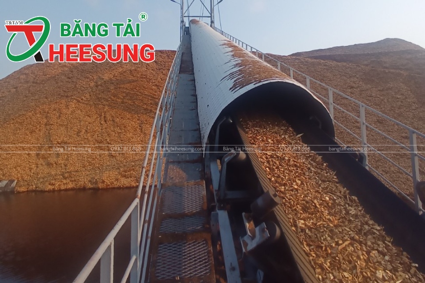 băng tải gân V chở dăm gỗ