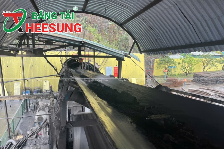 băng tải ngành môi trường