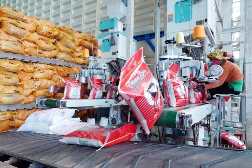 các loại gạo xuất khẩu