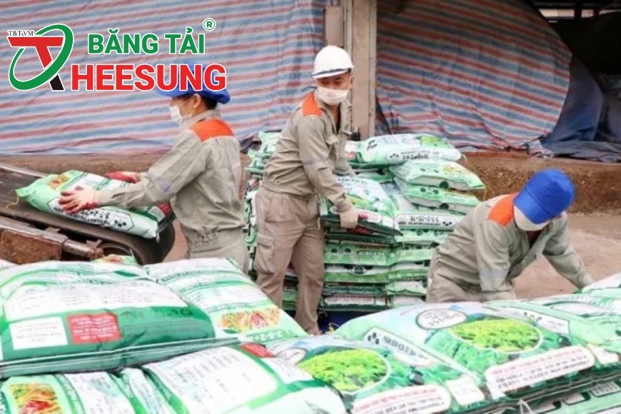 ngành phân bón Việt Nam