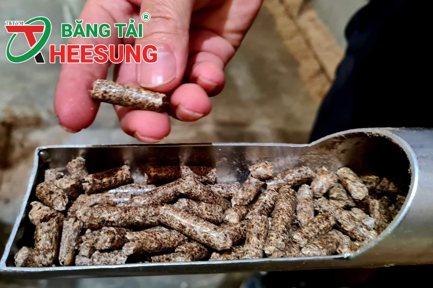 xuất khẩu viên nén gỗ Việt Nam