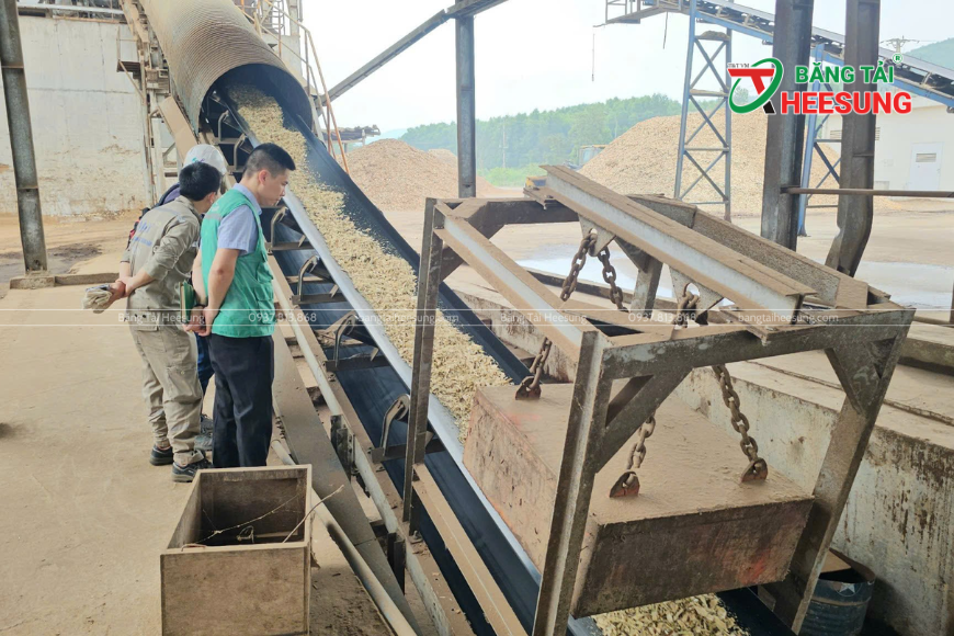 Băng tải cao su Heesung - Sản phẩm thích hợp trong ngành xuất khẩu gỗ Việt Nam