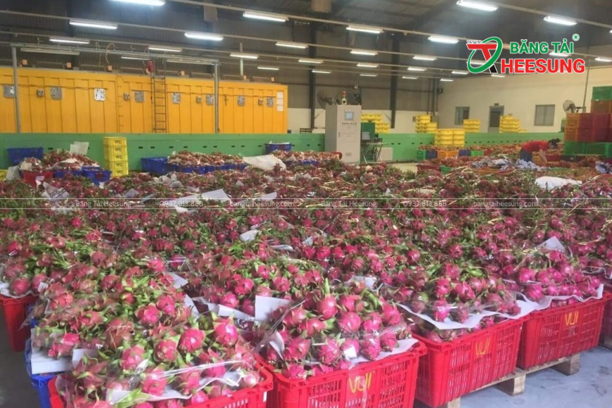 Nông sản Việt Nam bị "chặn" lại khi xuất khẩu sang EU