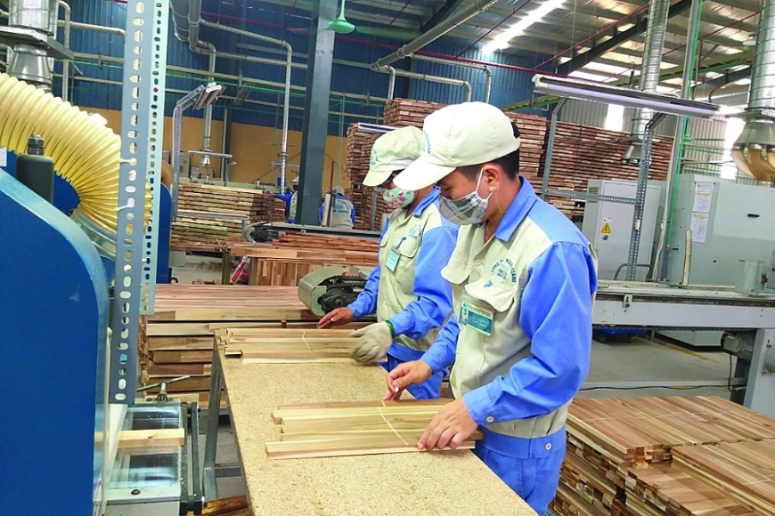 sản xuất gỗ xuất khẩu