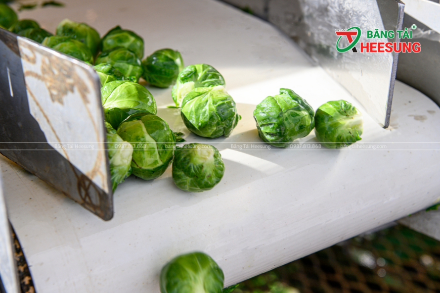 băng tải nông sản Heesung