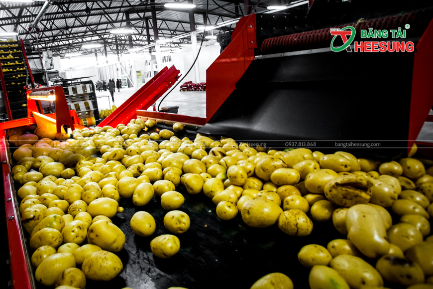 băng tải nông sản