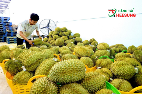 xuất khẩu nông sản