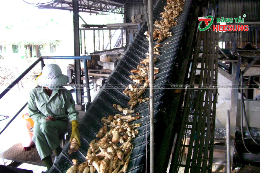 băng tải Heesung trong nông sản