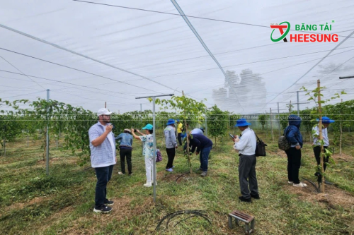 giá trị nông sản