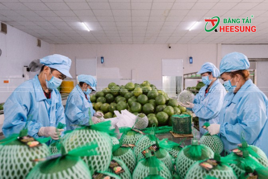 nông sản xuất khẩu