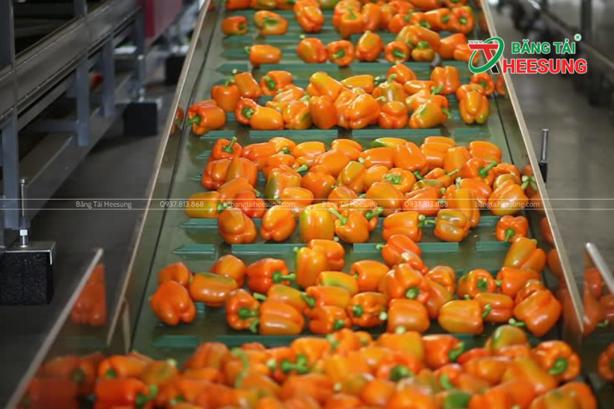 băng tải Heesung trong nông sản xuất khẩu